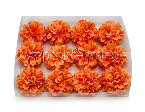Flame Carnation