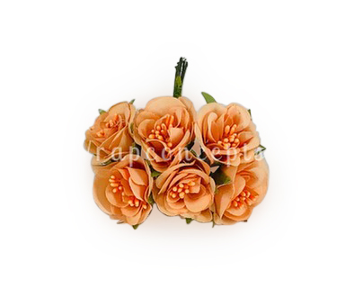 Flowers With Stem-Orange Flowers With Stem-Orange