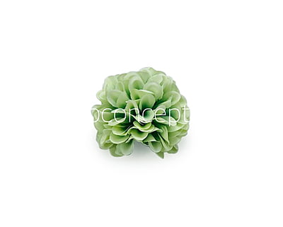 Chinoise Green Carnation