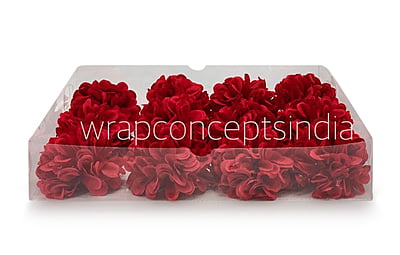 Red Carnation