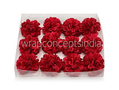 Red Carnation