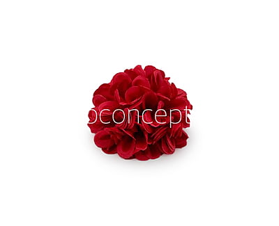 Red Carnation
