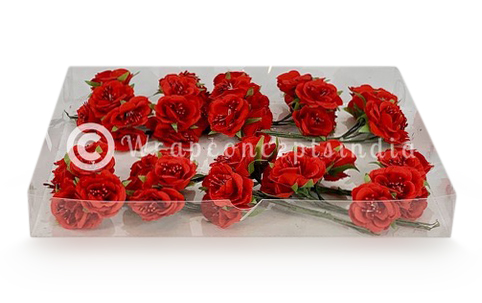 Flowers With Stem-Red Flowers With Stem-Red
