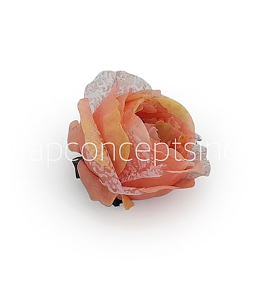 Peony - Peach with net layering Peony - Peach with net layering