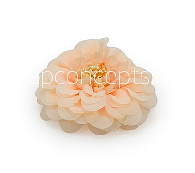 Dahlia Flower- Peach Dahlia Flower- Peach