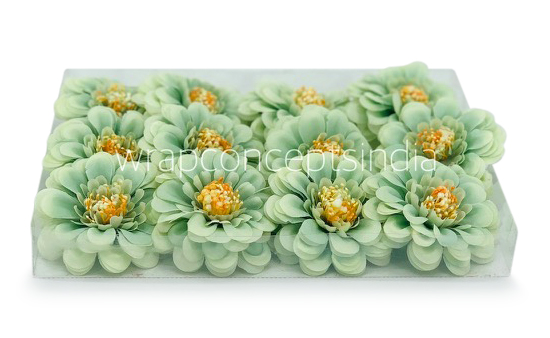 Dahlia Flower - Pistachio Green Dahlia Flower - Pistachio Green