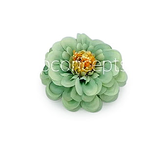 Dahlia Flower - Pistachio Green Dahlia Flower - Pistachio Green