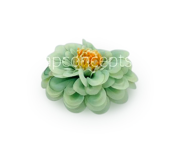Dahlia Flower - Pistachio Green Dahlia Flower - Pistachio Green