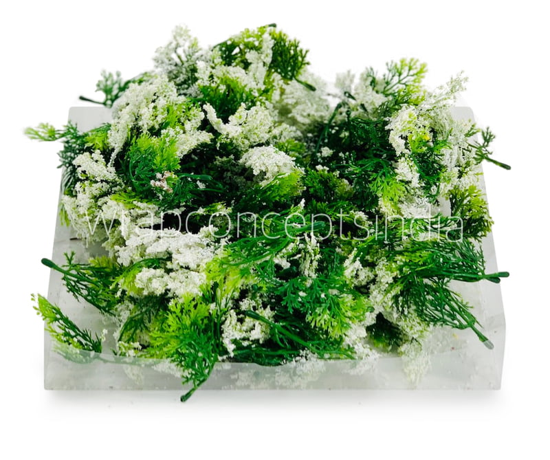 Green Fern Leaves with White Edges Green Fern Leaves with White Edges