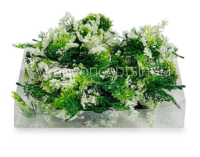 Green Fern Leaves with White Edges Green Fern Leaves with White Edges