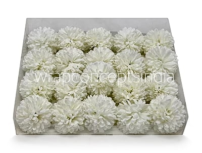 Carnation - White
