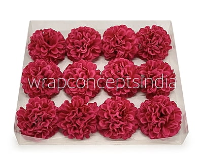 Fuchsia Carnation