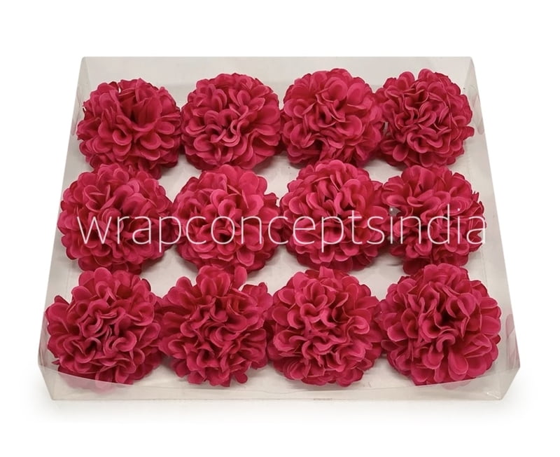 Fuchsia Carnation