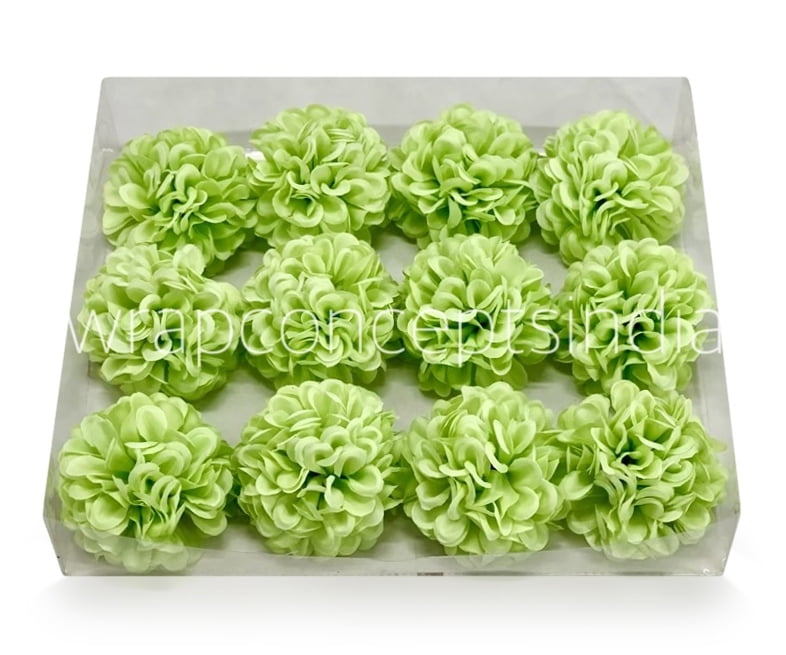 Lime Carnation Lime Carnation