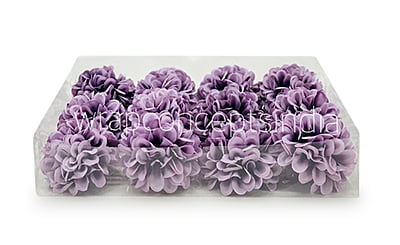 Wisteria Carnation