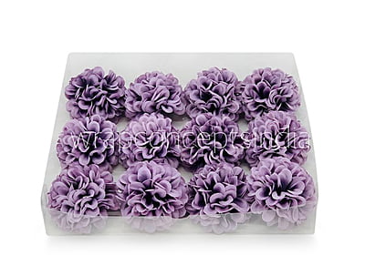 Wisteria Carnation