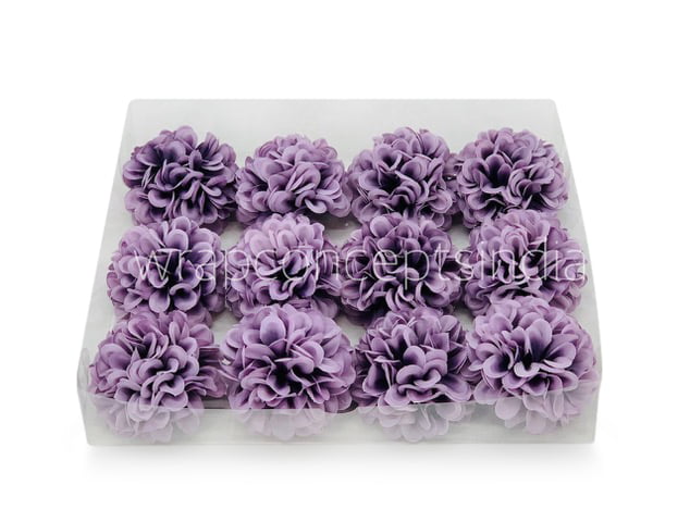Wisteria Carnation