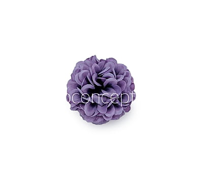 Wisteria Carnation