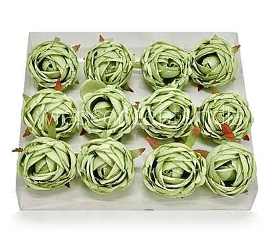 Fern Green