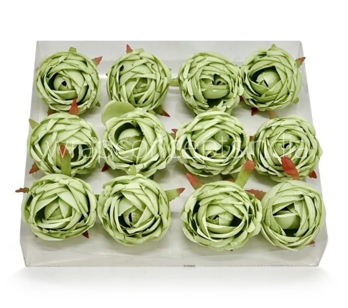 Fern Green Fern Green