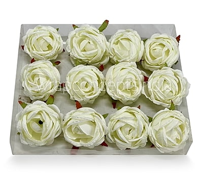 Apple Blossom Peony
