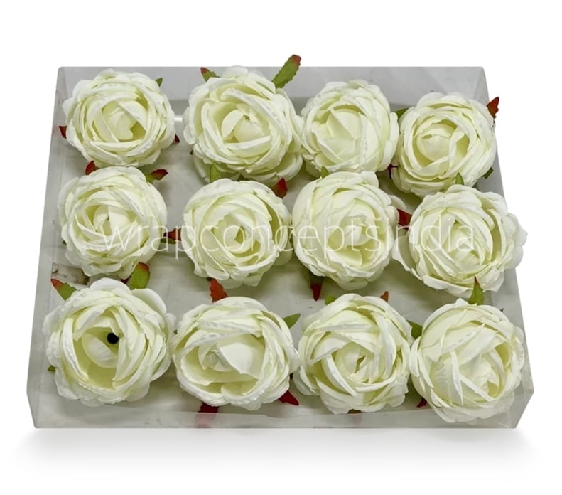 Apple Blossom Peony Apple Blossom Peony