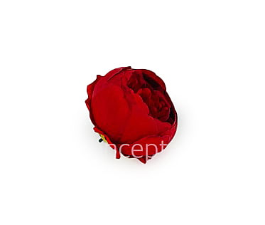 Peony - Red