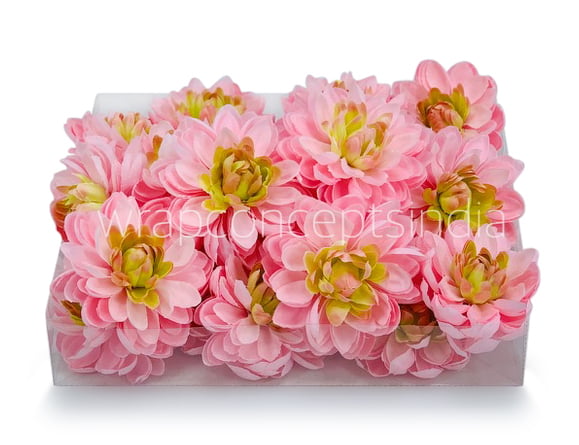 Pink Lemonade with hints of Green Dahlias
