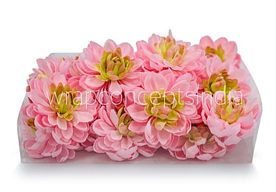 Pink Lemonade with hints of Green Dahlias