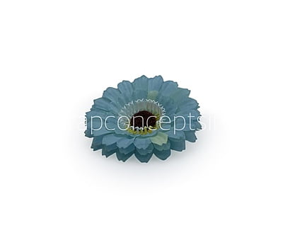 Cyan Gerberas Cyan Gerberas