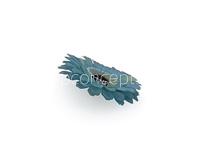 Cyan Gerberas Cyan Gerberas