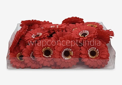 Red Gerberas Red Gerberas