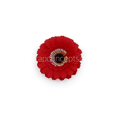 Red Gerberas