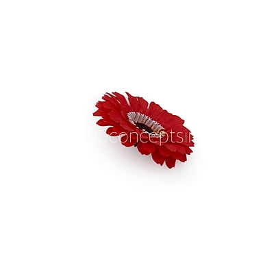 Red Gerberas