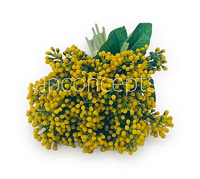 Baby Breath Floret Bunch -Mutlicolor Baby Breath Floret Bunch -Mutlicolor