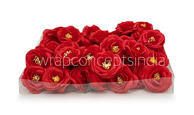 Scarlet Rose Flower Scarlet Rose Flower