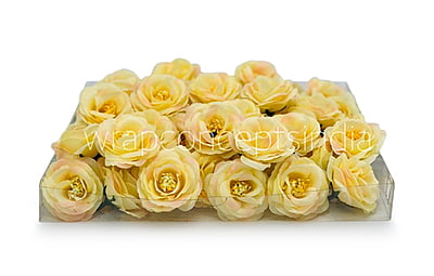 Lemon Yellow with hints of Pink Rose Flower Lemon Yellow with hints of Pink Rose Flower
