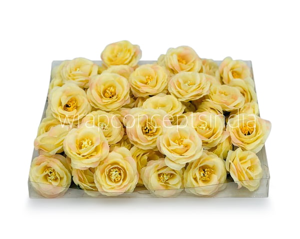 Lemon Yellow with hints of Pink Rose Flower Lemon Yellow with hints of Pink Rose Flower