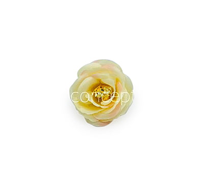 Lemon Yellow with hints of Pink Rose Flower Lemon Yellow with hints of Pink Rose Flower