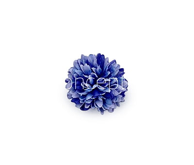 Carnation - Purplish Blue