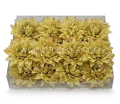 Lime Dahlia Flower