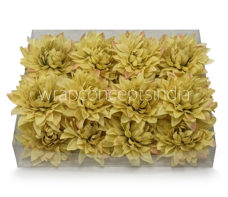 Lime Dahlia Flower Lime Dahlia Flower