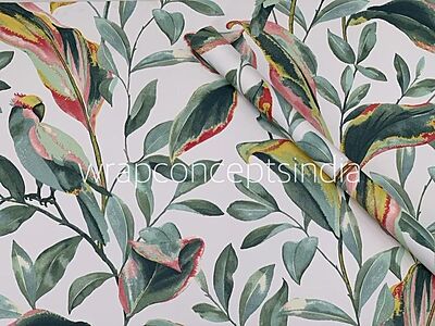 Macaw Parrots