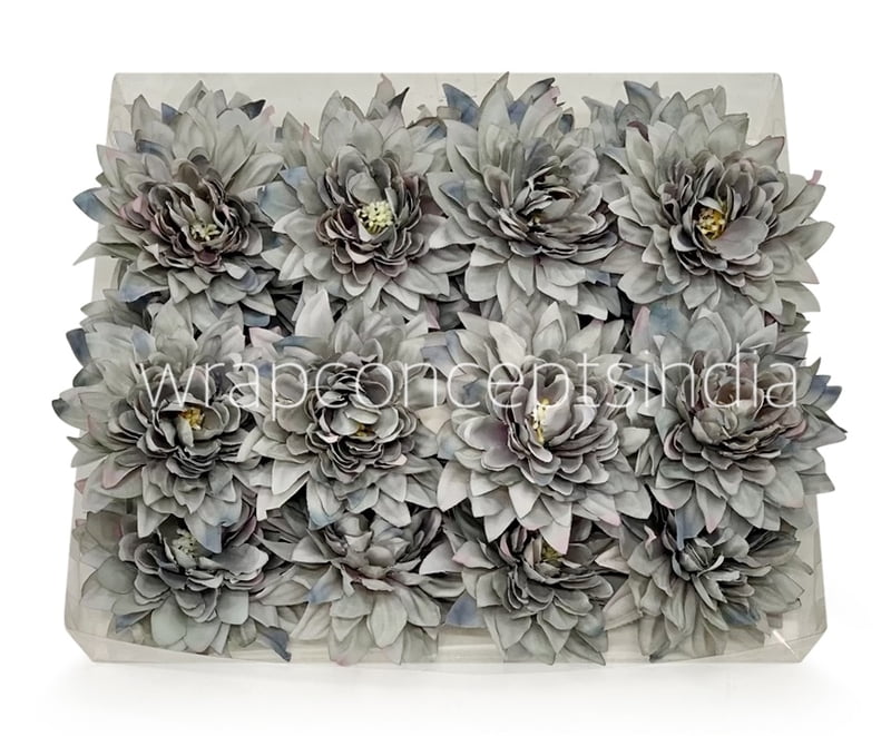 Pastel Grey Dahlia Flower Pastel Grey Dahlia Flower