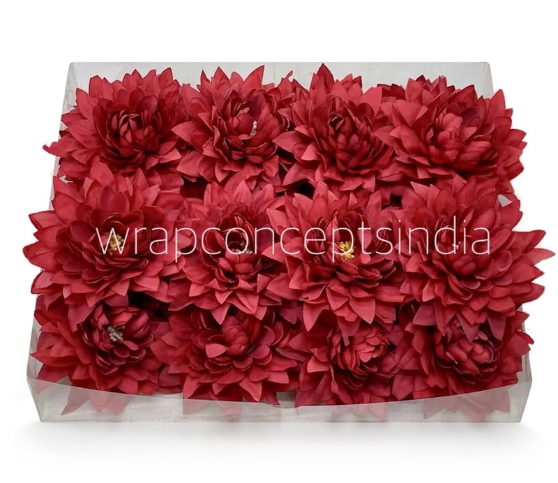 Amaranth Dahlia Flower Amaranth Dahlia Flower