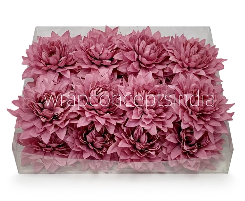 Cerise Dahlia Flower Cerise Dahlia Flower