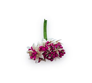 Dual Tone Pollens - Fuchsia Pink & Gold