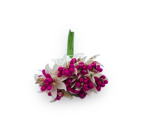 Dual Tone Pollens - Fuchsia Pink & Gold