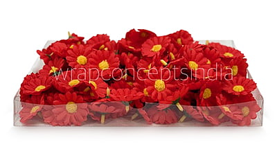 Red Daisy Flowers