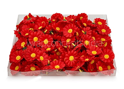 Red Daisy Flowers